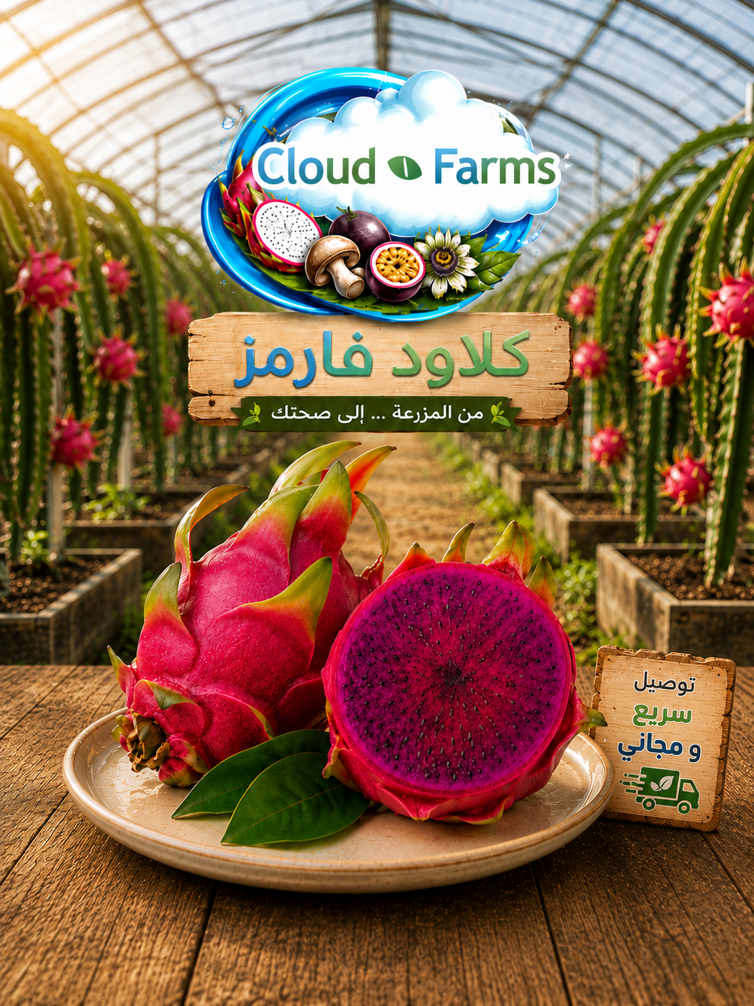 دراجون فروت موف