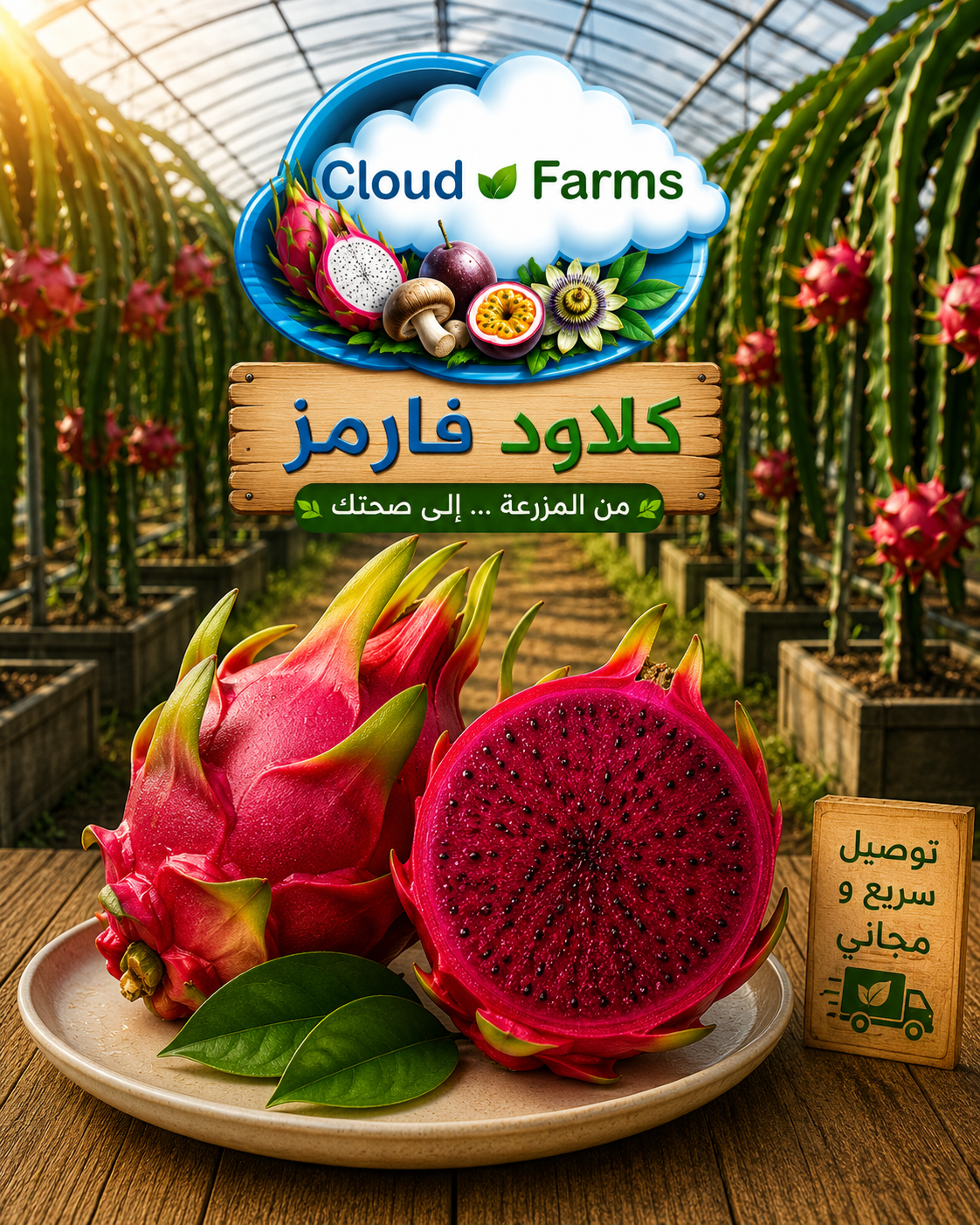 دراجون فروت أحمر
