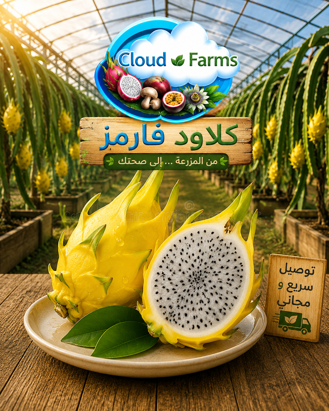 دراجون فروت أصفر